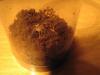albertas_t1.jpg