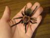dsc00119_t1.jpg