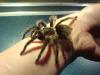 dsc00128_t1.jpg