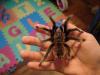 dsc04827_t1.jpg