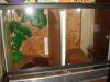 dsc05417_t1.jpg