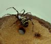 dsc05488_t1.jpg