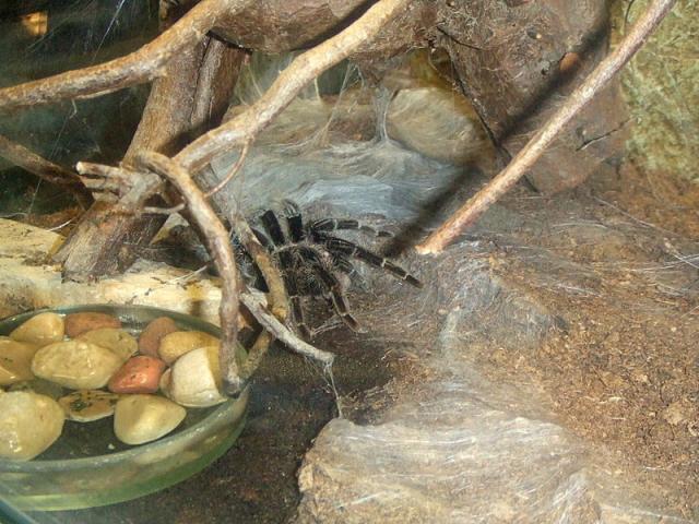 Ryga zoo
