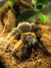 em_t1_1_2.jpg