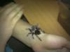 emilia_t1_1_2_3_4_5_6_7_8_9_10_11_12_13.jpg