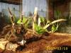 foto1_t1_1_2.jpg