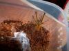 foto2_t1_1_2.jpg