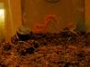 img_0025_t1_1.jpg