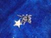 sss_t1_1.jpg