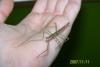 100_0733_t1.jpg
