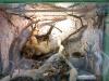 20110518064_t1.jpg