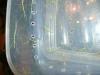 sipyloidea_t1.jpg
