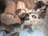 20110518080_t1.jpg