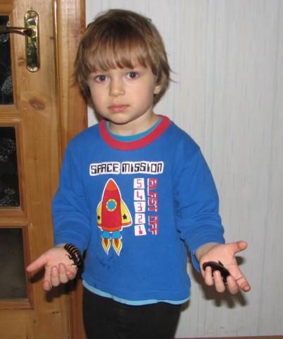 Draugeliai
